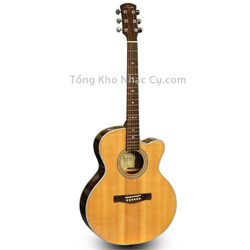 Đàn Guitar Acoustic Ayers SJC-SOL (sơn bóng)